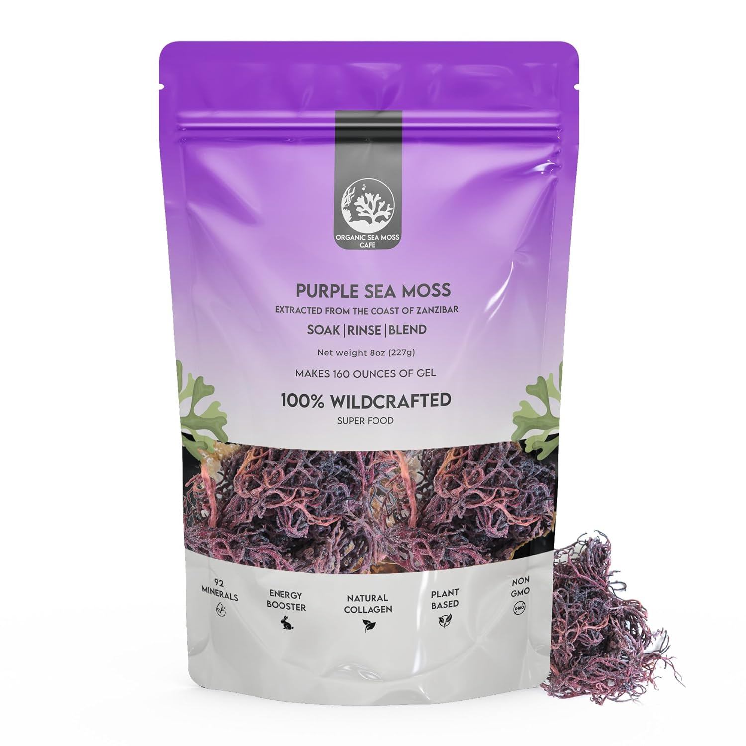 Marine Superfood: Purple Sea Moss